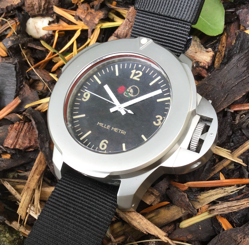 CA8C066A-E40F-4E05-9402-43FE00EC872A