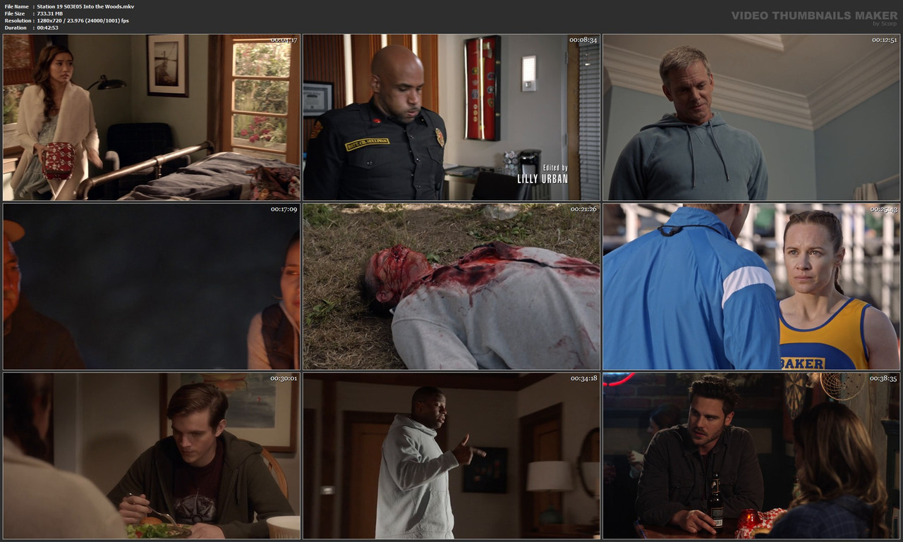 Station 19 S03E05 Into the Woods.mkv