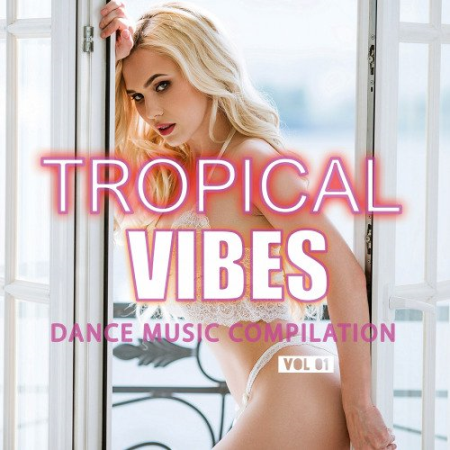 VA   Tropical Vibes Compilation (2019)