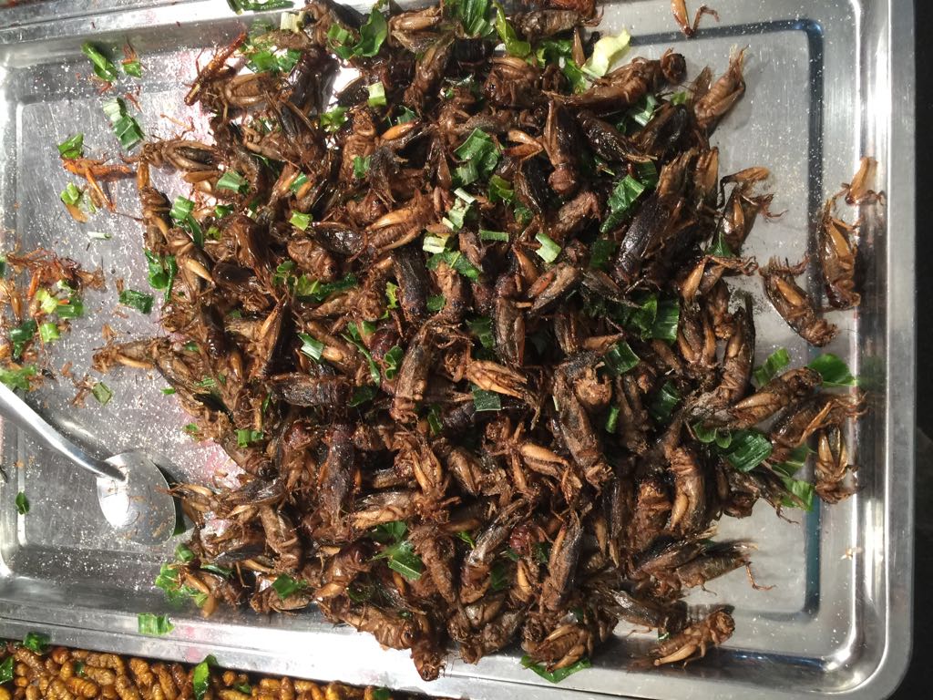 4D231201-A6AD-4CA8-8E1C-0EFAA433B932