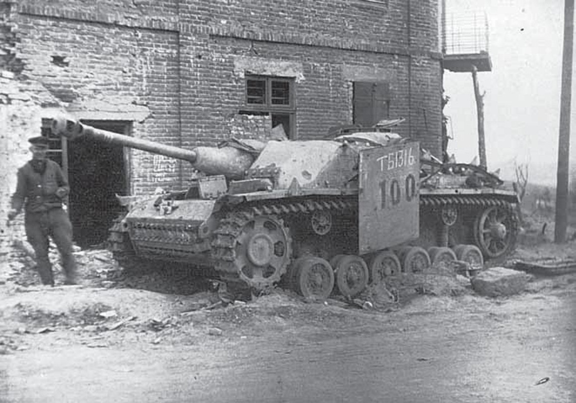 Битва за фестунги - 2018-1