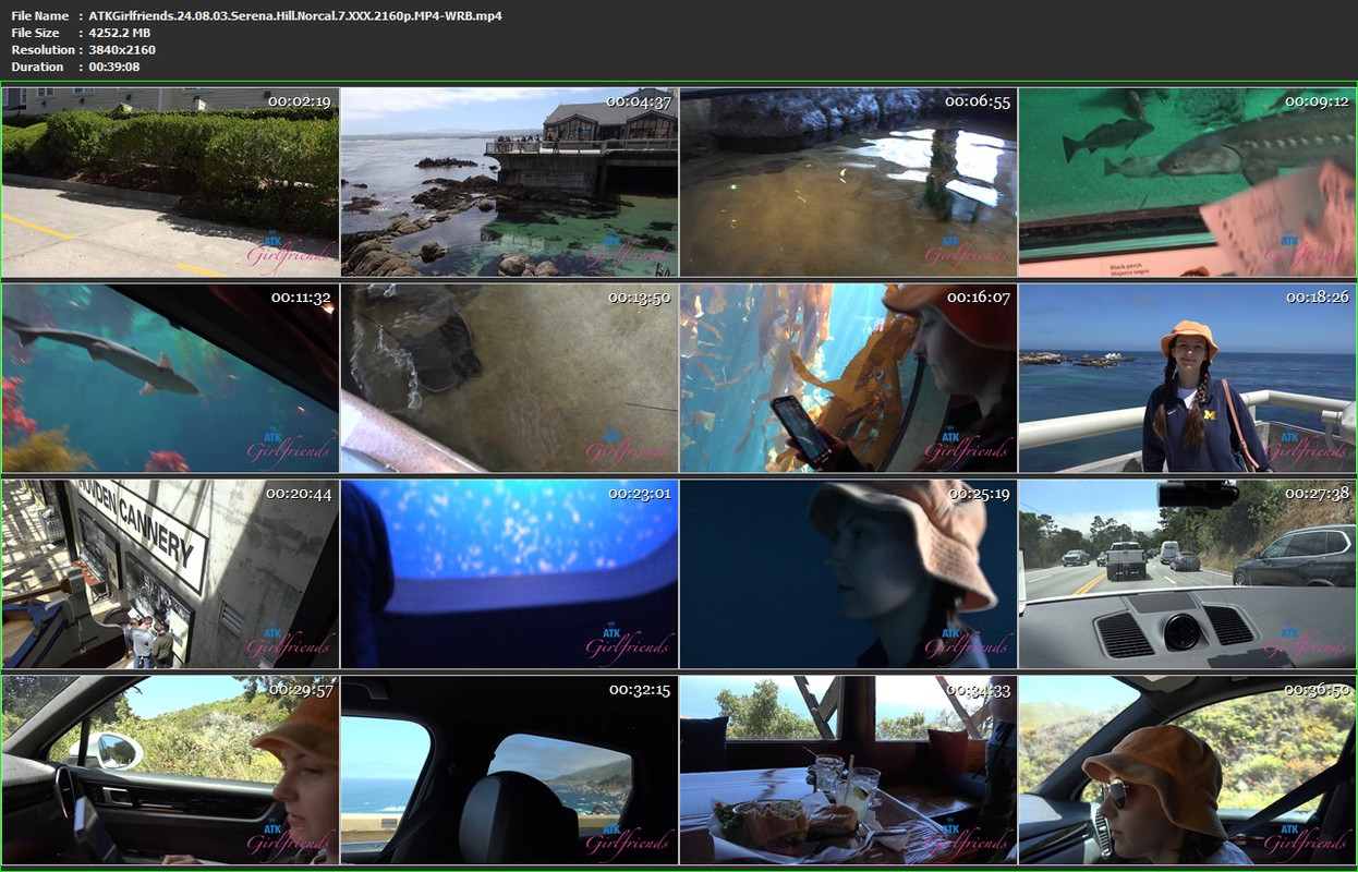 03082024123424screenshot