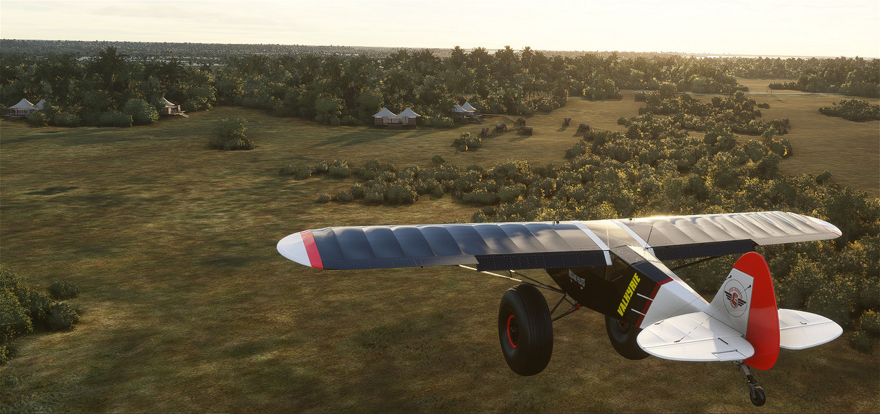 Savage-Cub-1.jpg