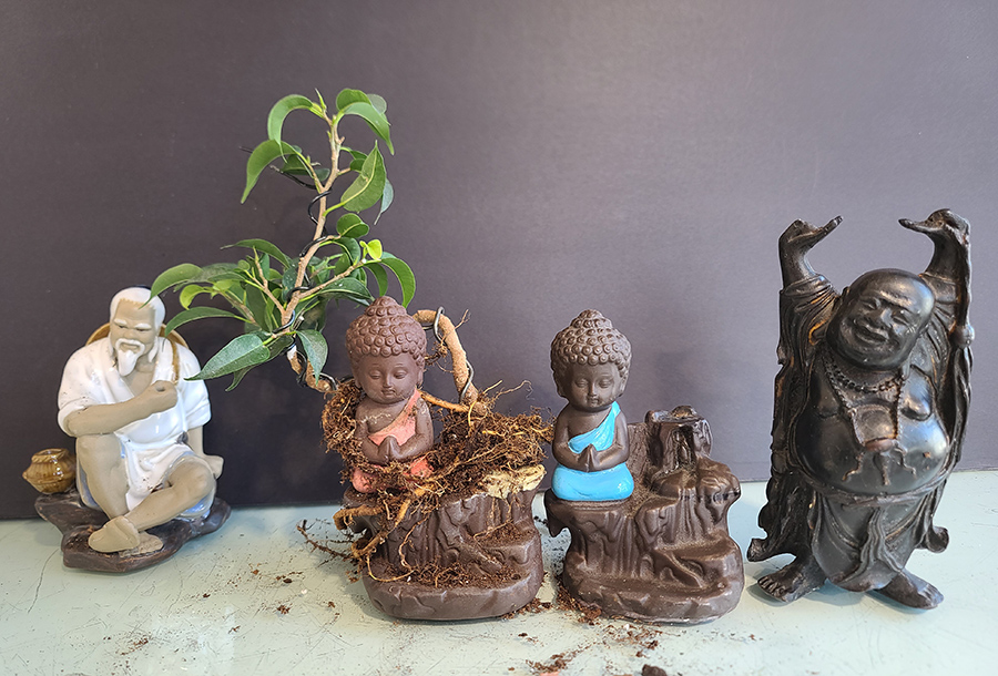 [Image: 20260422-142548.jpg]