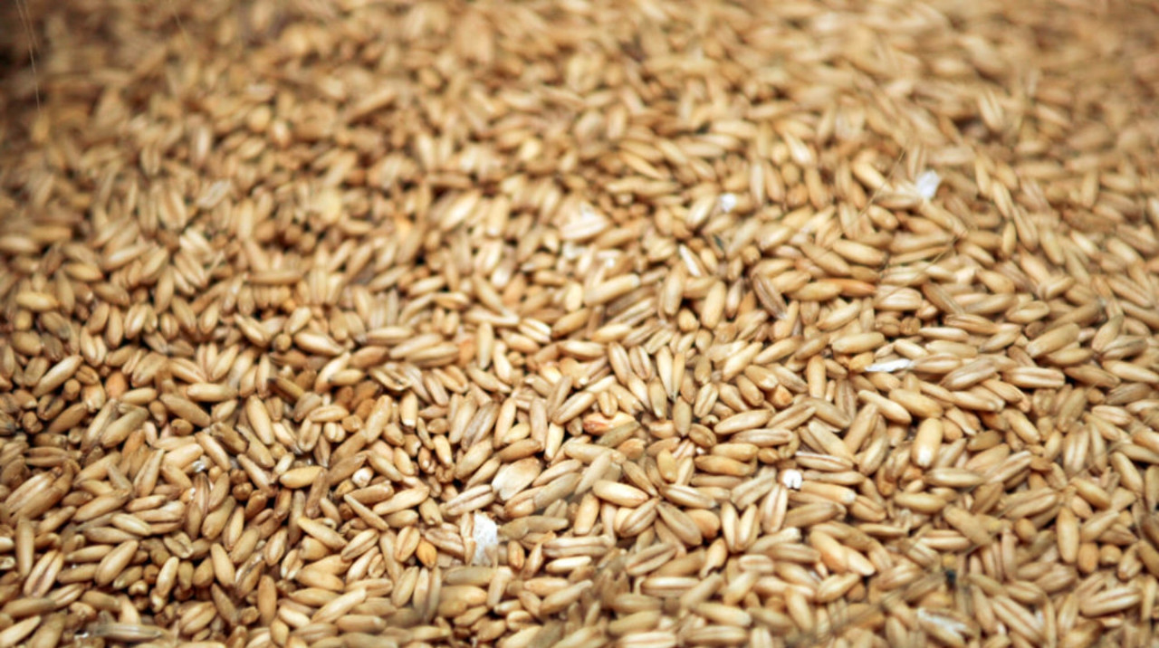 ¿Cuál es la diferencia entre la avena integral y la avena normal?