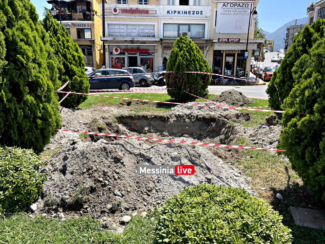 δεντρα image00012