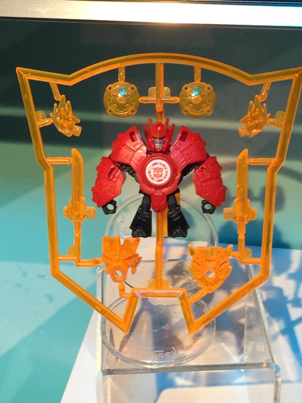 10978486_10152745318389912_7861869769564112286_n