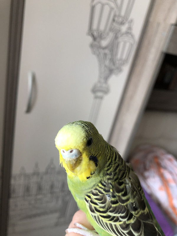 774F8D73-F927-4021-AC73-94417905A795