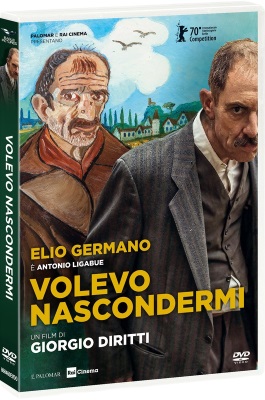 Volevo nascondermi (2020) DVD9 COPIA 11 ITA