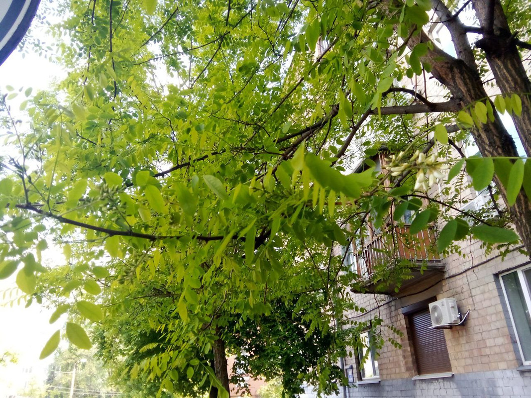 photo_2025-05-17 10.03.30 дп