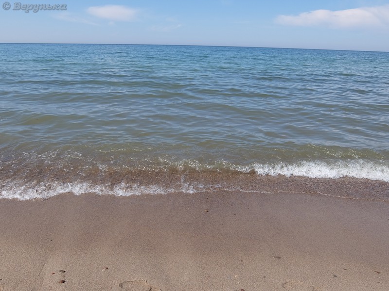 DSCF4525