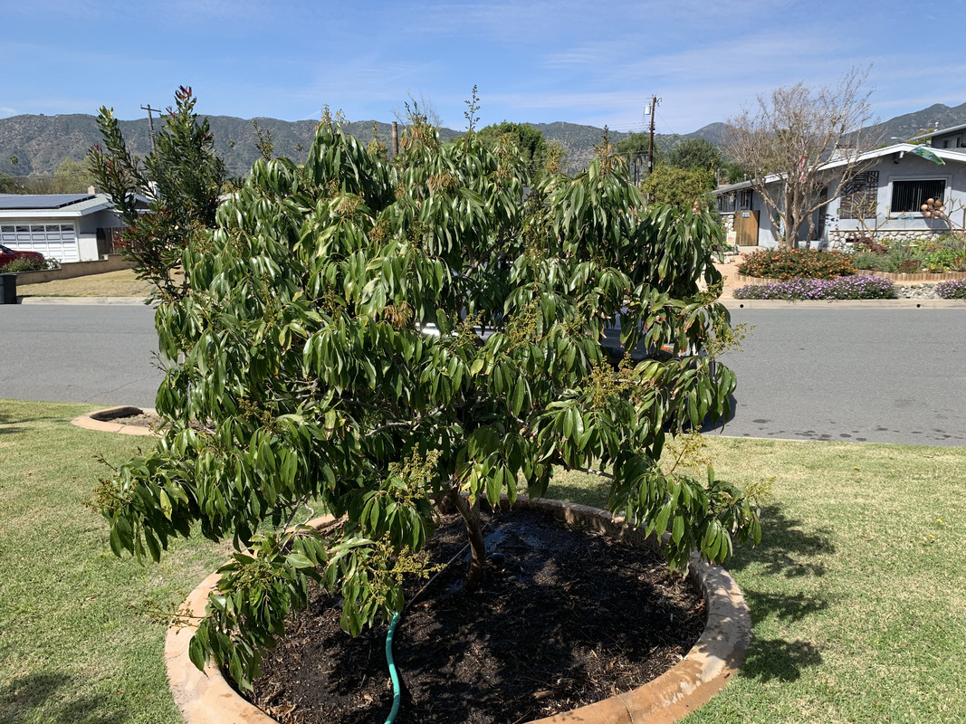 2D2B267A-C88F-4887-8259-EB35374D5229