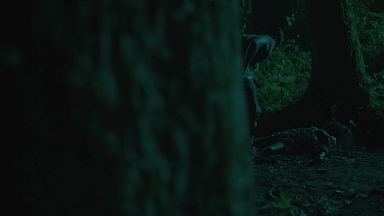 vlcsnap 2025 11 03 23h49m59s637