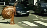 8BT.gif