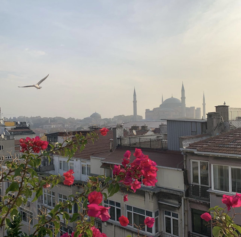 7DB27E7F-9749-434A-A8D7-DE1E466A6F9E