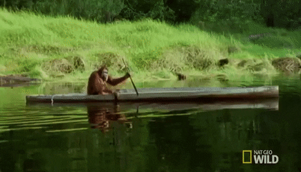 GIFs-23