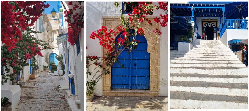 Cartago y Sidi Bou Said - De ruínas y medinas tunecinas (17)