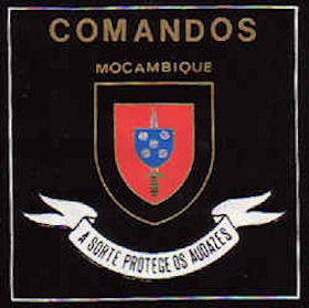 BCmdsM