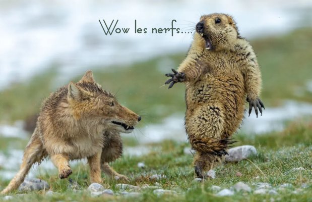 marmotte.jpg