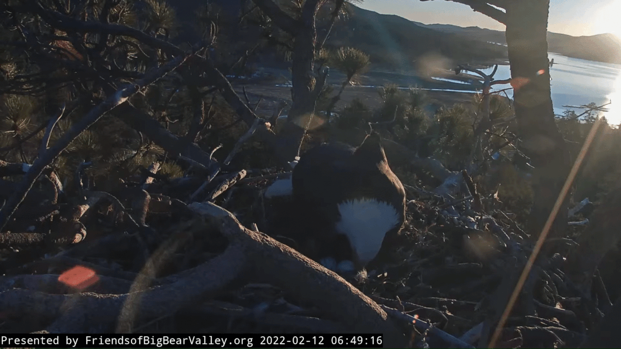 Webp.net-gifmaker (13)