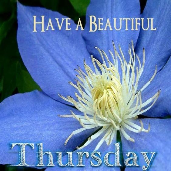 Good Morning, Good Afternoon, Good Evening, Good Night, Good Day! (#2)
