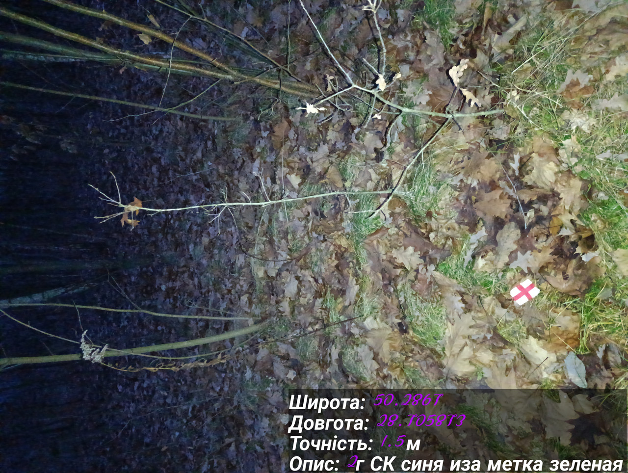 2г СК синя иза метка зеленая карта 025