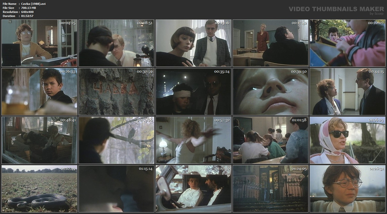 Cavka (1988).avi