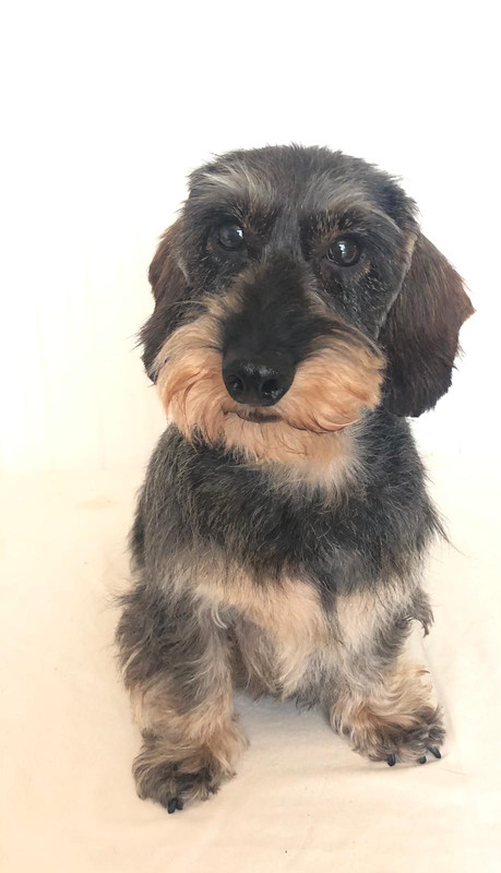 [Image: IMG-20250716-WA0002.jpg]