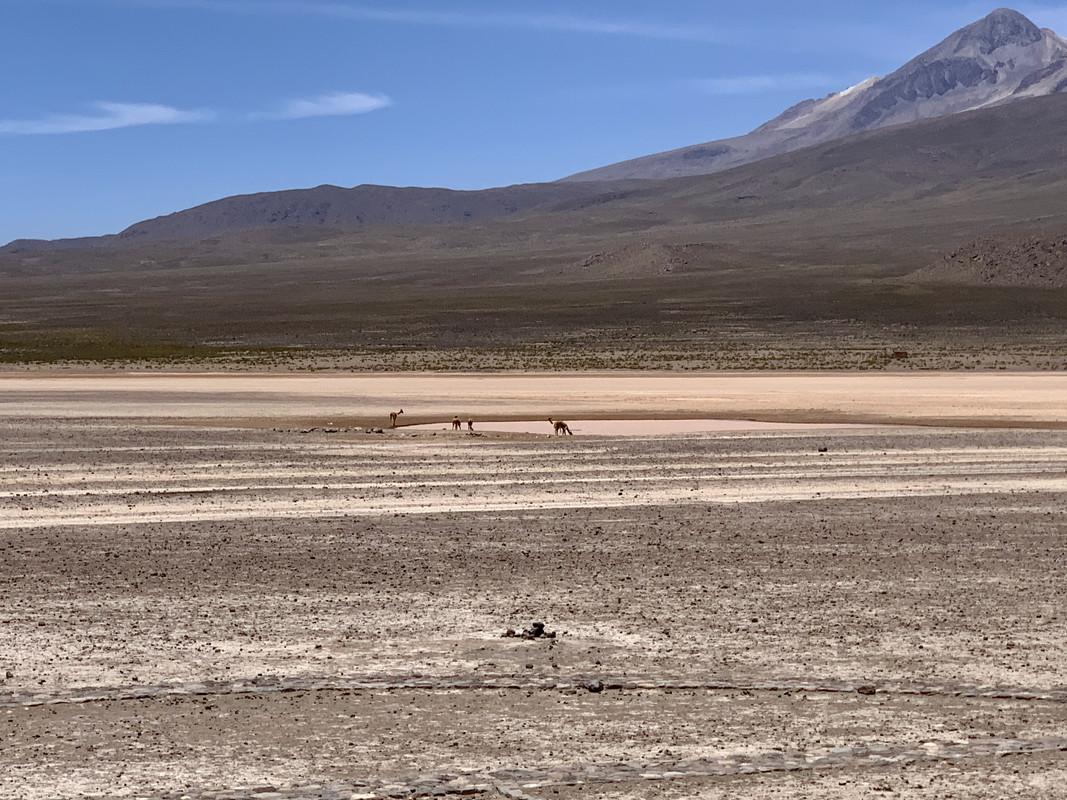 445FFDFD-E50D-4E6A-8527-D9BA28A7B098