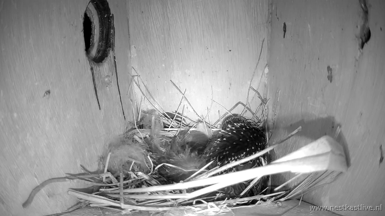 snapshot 2026 03 29T223006 764