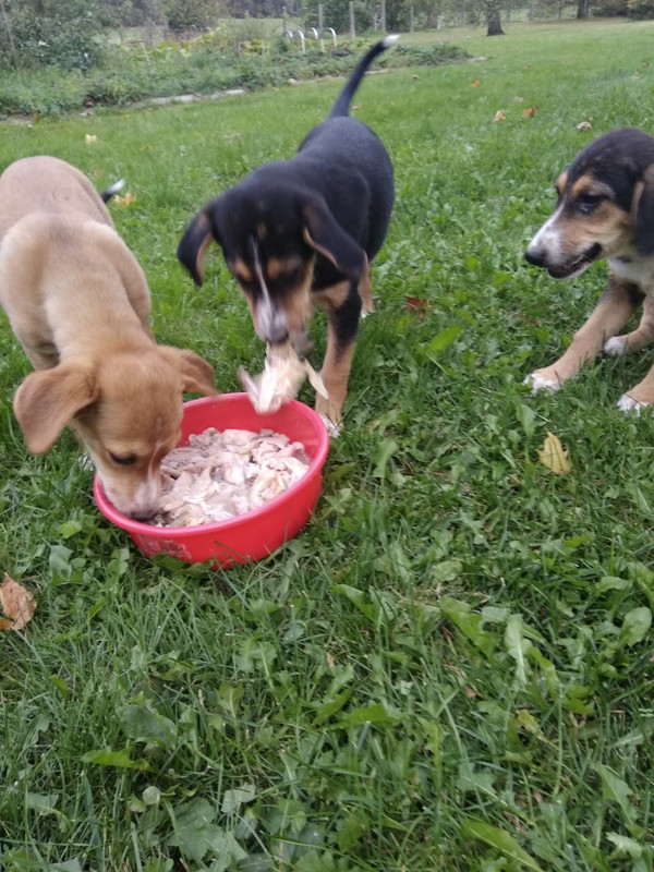 изображение_viber_2019-09-15_18-41-06