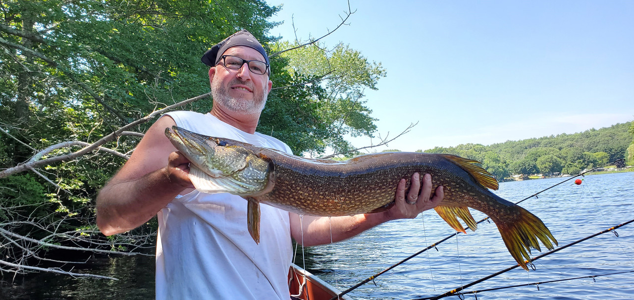 Pike1