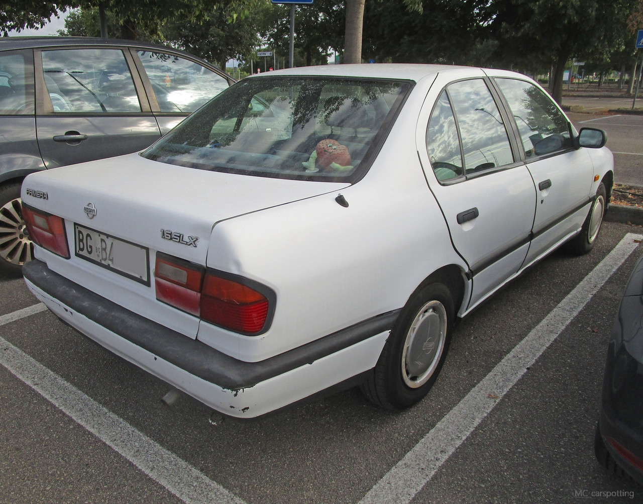 IMG-8695.jpg