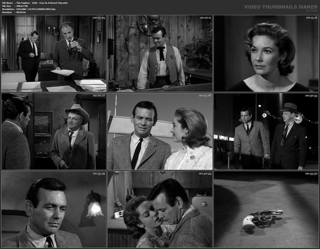 The Fugitive - 1X01 - Fear In A Desert City.mkv