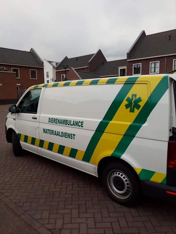 FB_IMG_1498392746449