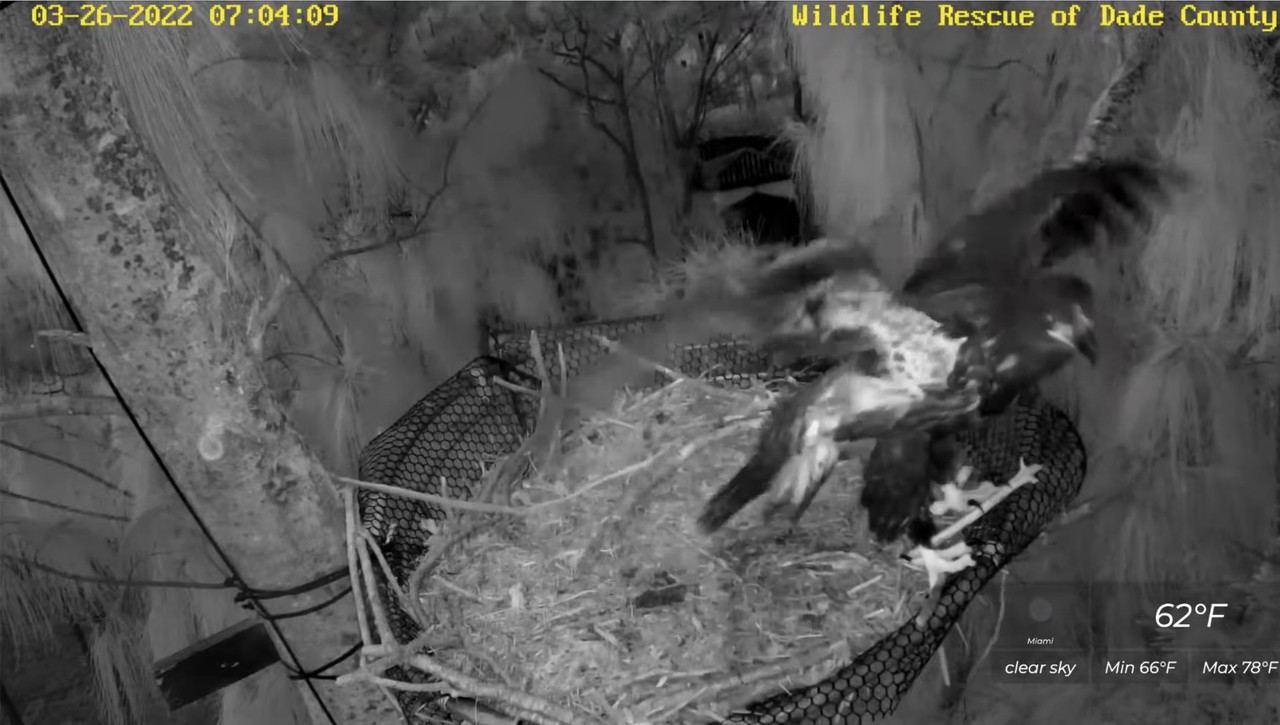 E96CA59D-3431-40AD-BC84-1452ED557B9F