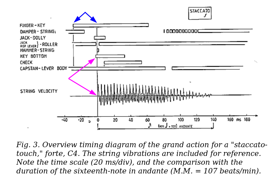 https://i.postimg.cc/TwWfRtdn/GP-action-latency-and-bottom.png