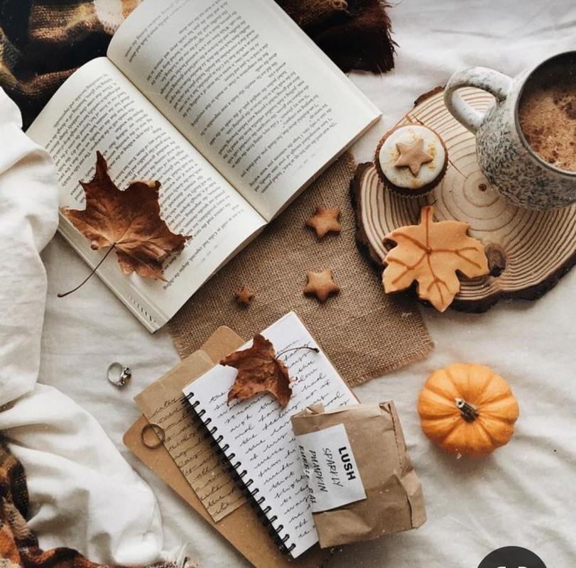 Screenshot_20231015_200046_Pinterest