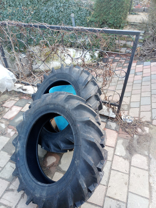 IMG_20250228_161412_199