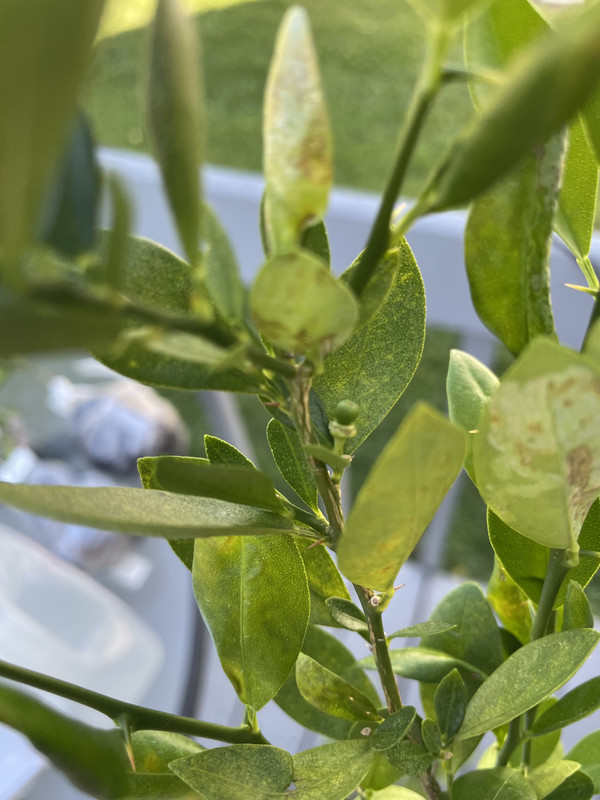 41ECFC52-6839-4AB7-A42D-155EF9011D2A