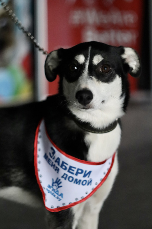 8CD1A255-E551-4829-A92A-B1DBA2A85300