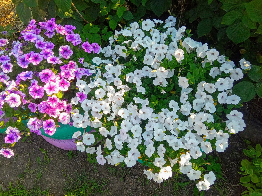 eQJbT17nK0JiS-a9yBoVyLQ8oL6lOyyan_VrRvk4iZJRo4WM1nDdeZqi4o6tunLg_9OPWFgak3ZhkNrZIQSKWHgW