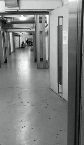 IMG-0390.gif