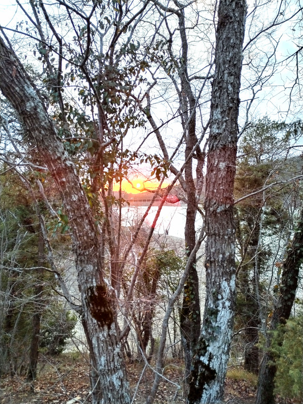 IMG_20230128_171810_edit_29507425835200