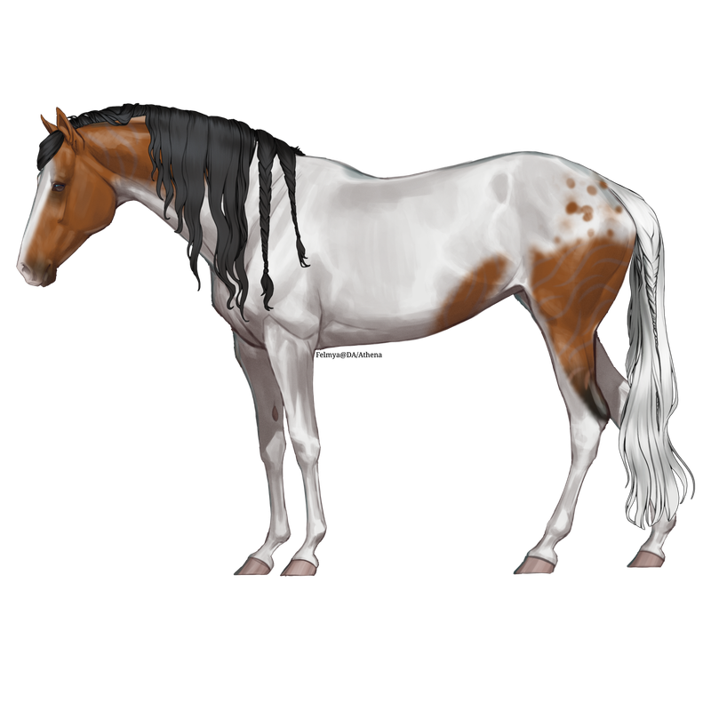 Untitled88-20250617141712.png