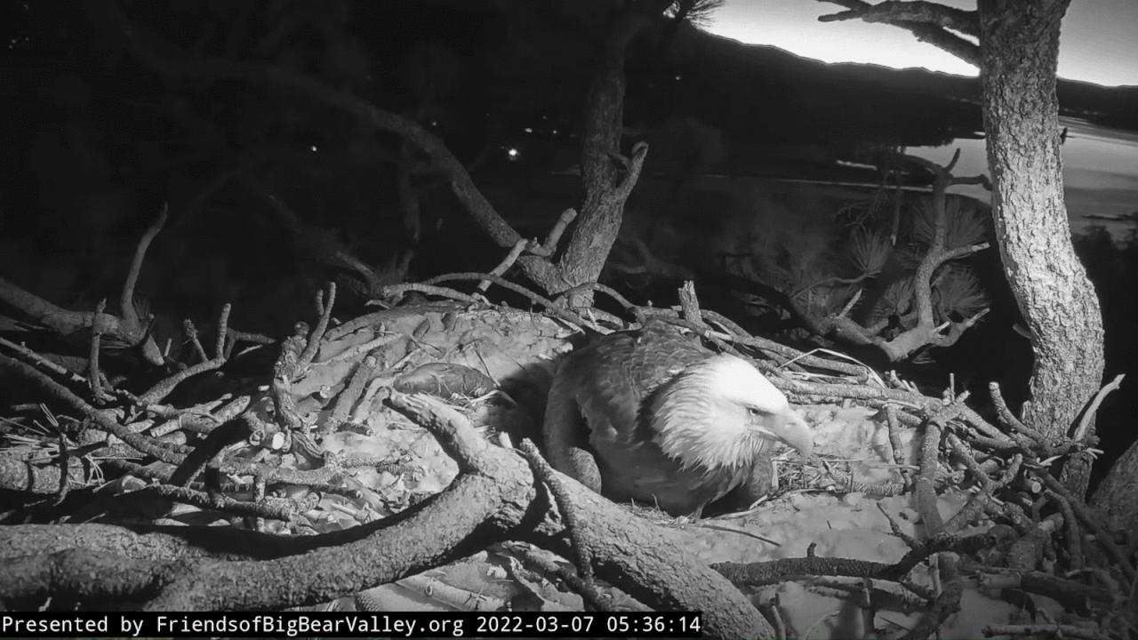 Webp.net-gifmaker (2)