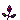 Rose favicon