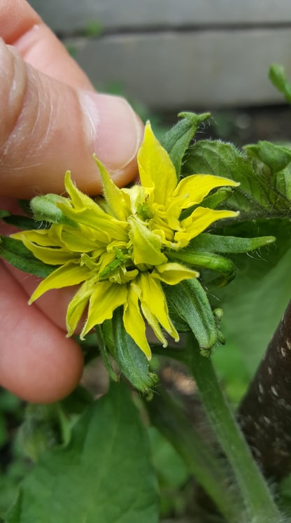 62504176-2237830729880119-31245201644569