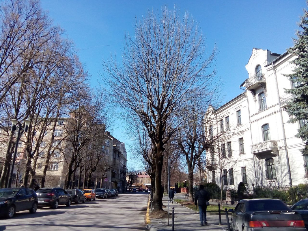 photo_2025-03-24 9.45.24 дп