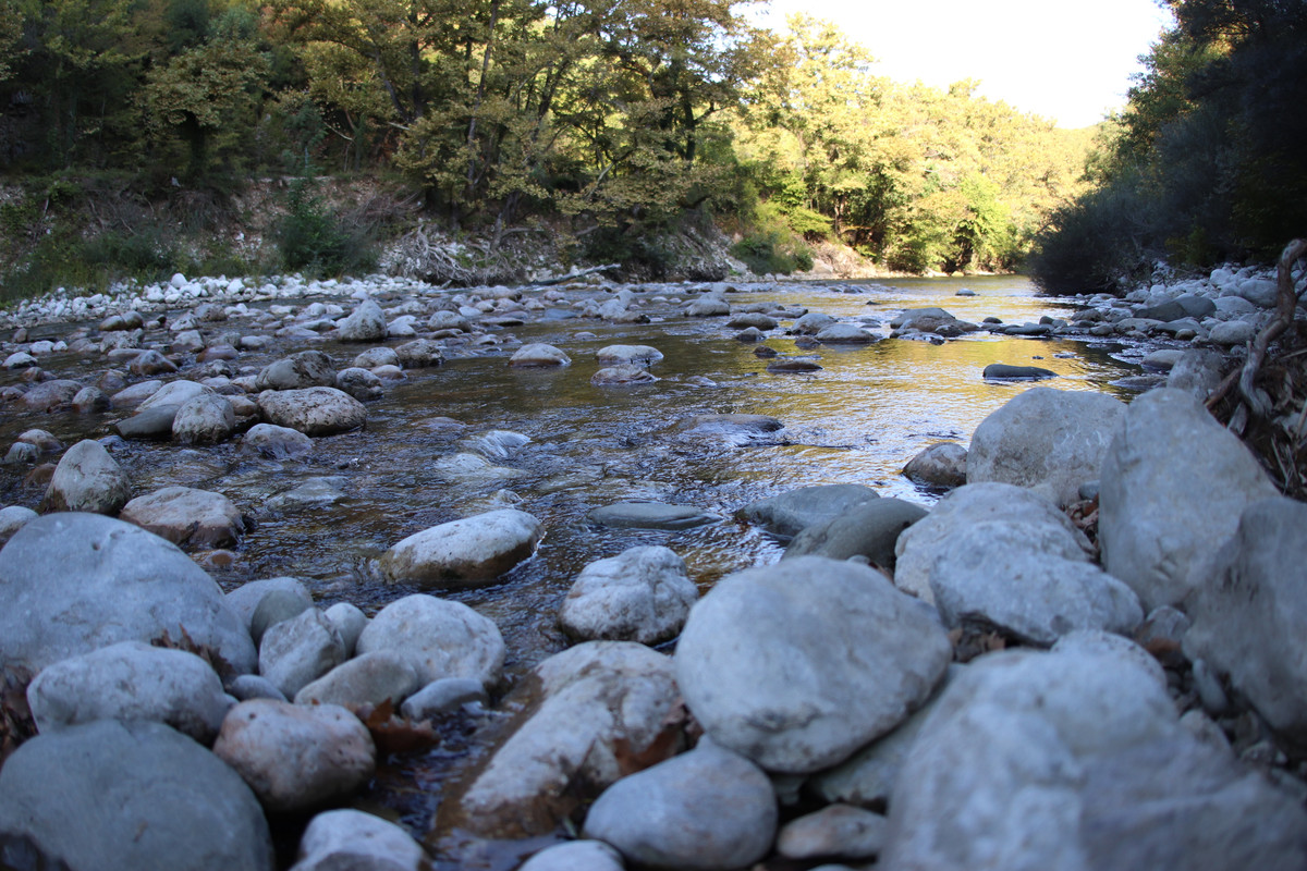 3BE84218-2356-45A5-9677-915E448A5FA7